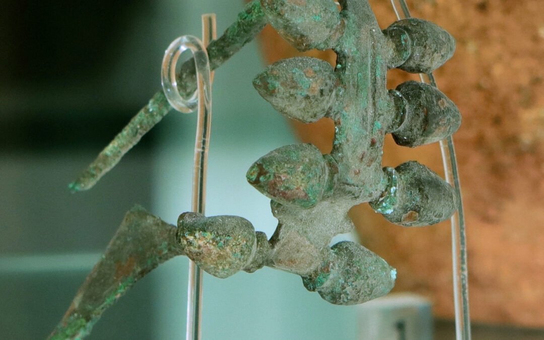 Fibule di bronzo ad arco serpeggiante con apofisi a ghiande