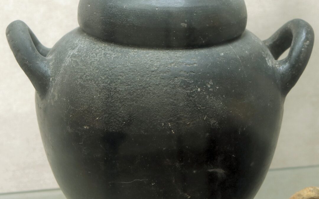 Stanmos con coperchio