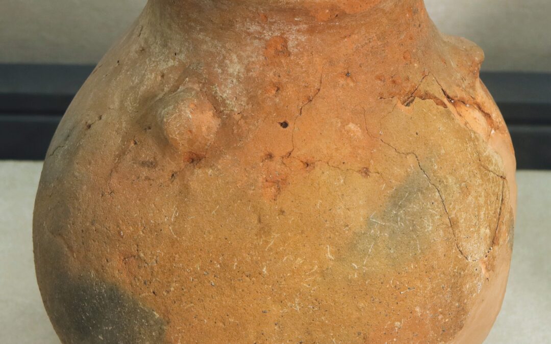 Olla con tre bugne sulla spalla