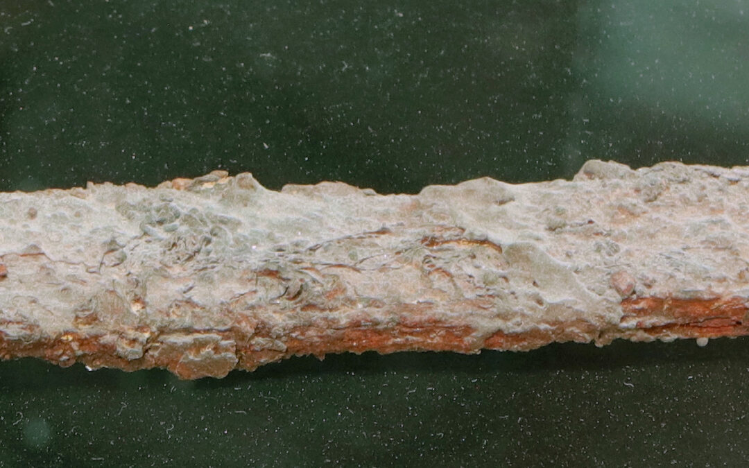 Coltelli di ferro con impugnatura in legno